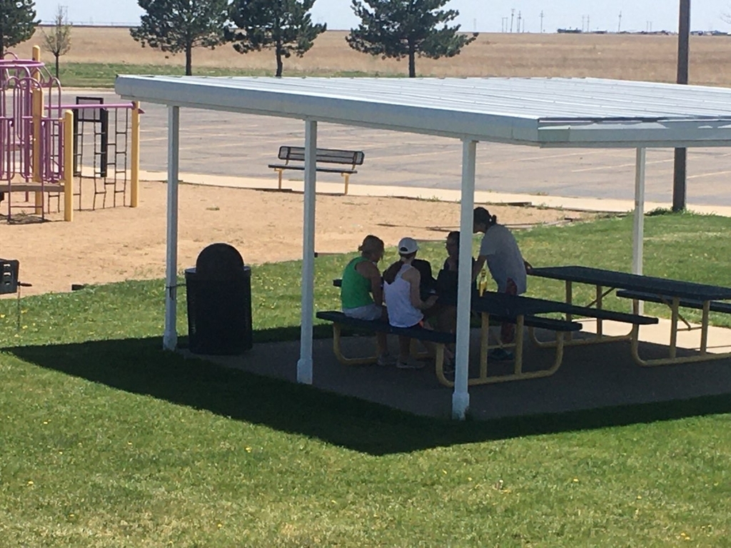 Students working on homework at the park